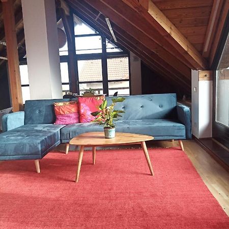 Ferienwohnung Zur Kirschblute Purbach am Neusiedlersee Exteriér fotografie