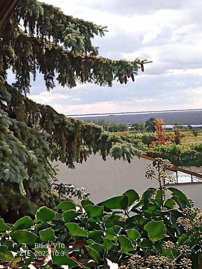 Ferienwohnung Zur Kirschblute Purbach am Neusiedlersee Exteriér fotografie