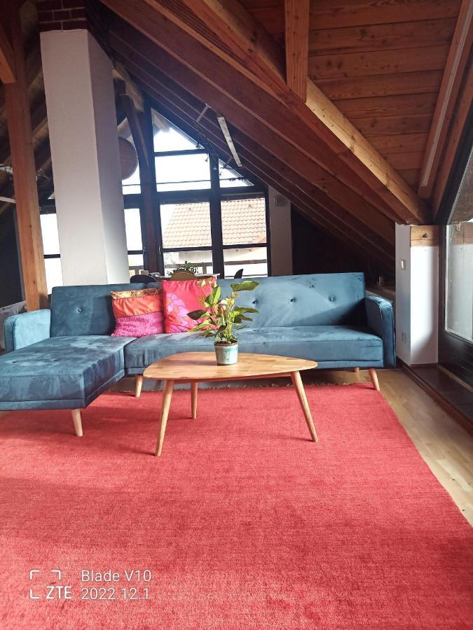 Ferienwohnung Zur Kirschblute Purbach am Neusiedlersee Exteriér fotografie